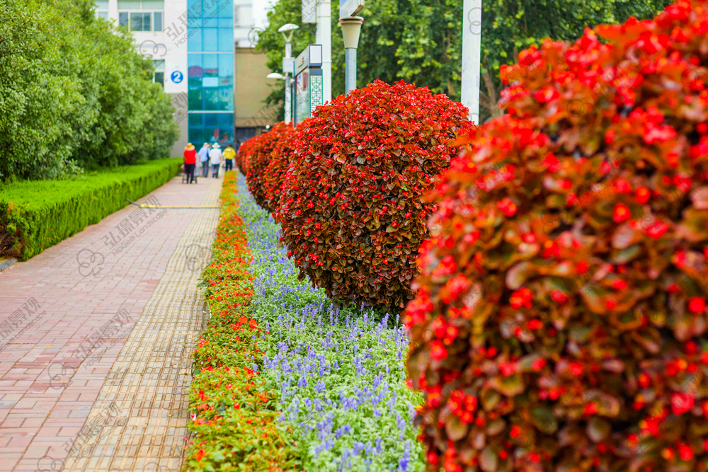 濟寧市城市園林綠化布局規(guī)劃項目(圖4)